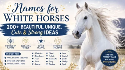 Names for white horses with 200+ beautiful, unique, cute, and strong ideas